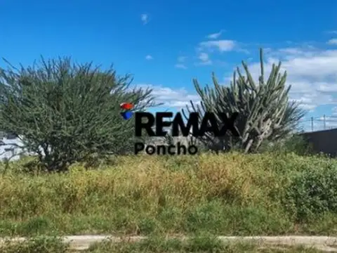 Terreno en Venta de 250,0 m2