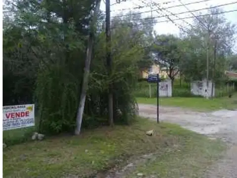 Los Naranjos 300