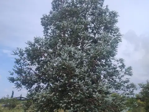 Terreno en Venta 15  mts Frente