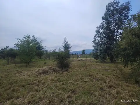 LOS ESPINILLOS, POTRERO DE GARAY