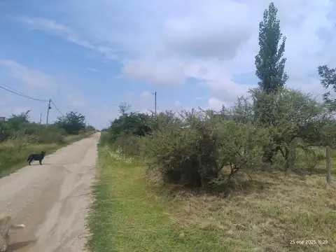 LOS ESPINILLOS, POTRERO DE GARAY