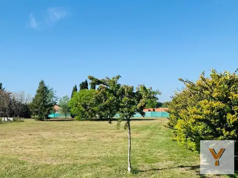 Terreno en Venta 53  mts Fondo