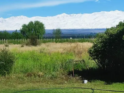 Finca en venta 10hs La Arboleda Tupungato riego definitivo