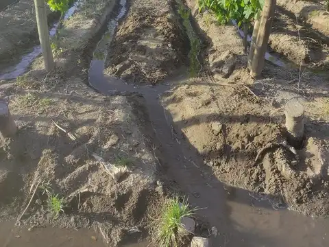 Finca en venta 10hs La Arboleda Tupungato riego definitivo