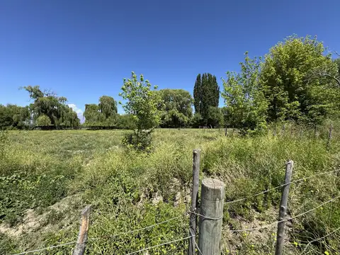 Ruta Provincial 88 y Desvío de Carga Pesada s/n La Arboleda Tupungato.