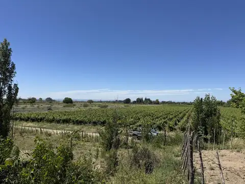 Ruta Provincial 88 y Desvío de Carga Pesada s/n La Arboleda Tupungato.