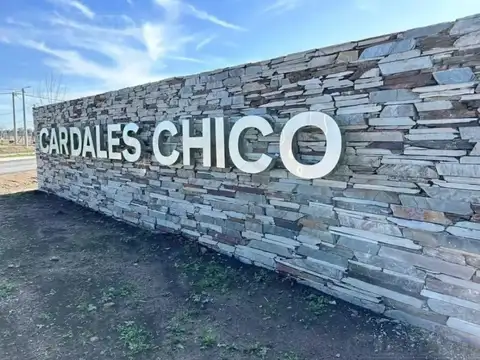 Terreno en Venta 30  mts Fondo