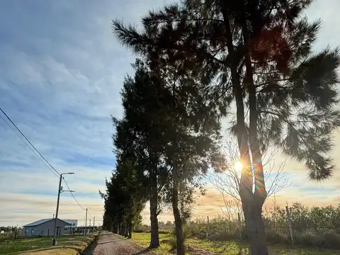 Terreno en Venta de 360,0 m2