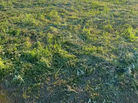 Terreno en Venta en Los Cardales, USD 23.000