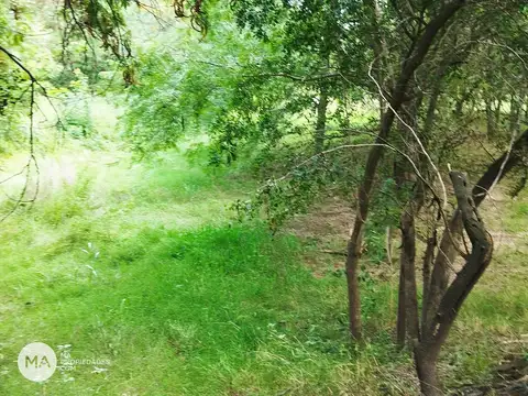 Terreno junto al rio Carcaraña - Calle 26 y el río Carcaraña - Andino | Venta