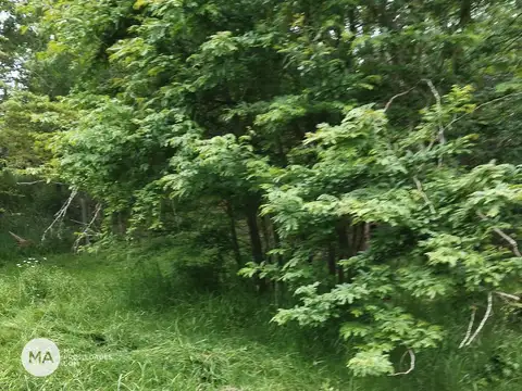 Terreno en Venta 110  mts Fondo