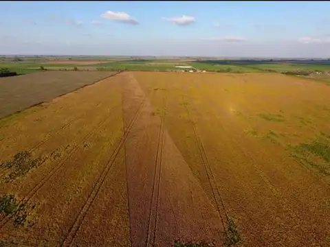 28 has agrícolas Humboldt