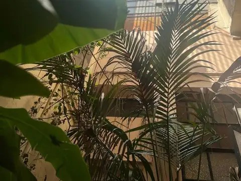 Departamento en Venta de 4 dormitorios