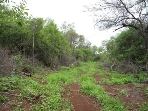 Finca 3800 ha - Oran - Salta