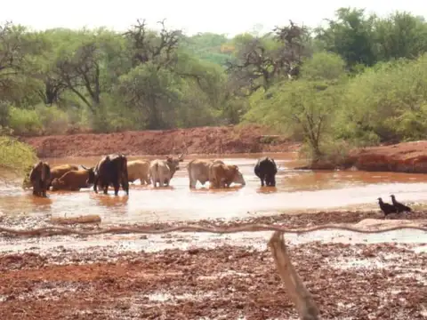 Campo en Venta - La Estrella - Salta