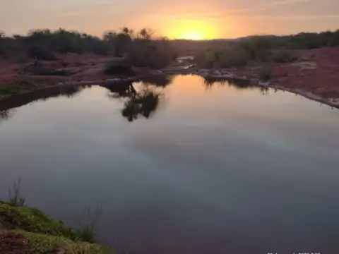 Finca 3800 ha - Oran - Salta