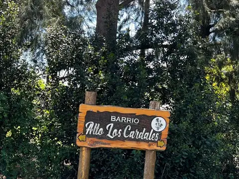 TERRENOS EN VENTA EN ALTO LOS CARDALES