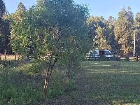 Terreno Lote  en Venta en Claromeco, Costa Atlántica, Buenos Aires