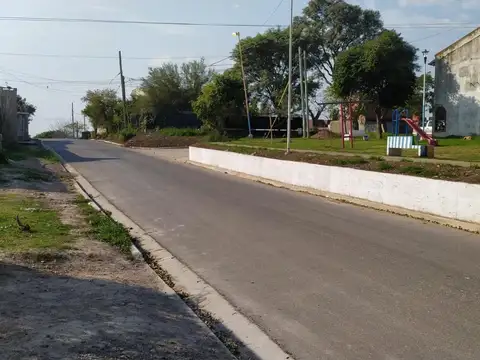 Maestro Normal 1553
