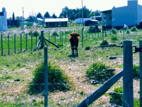 Terreno en Venta en Gardey, USD 25.000