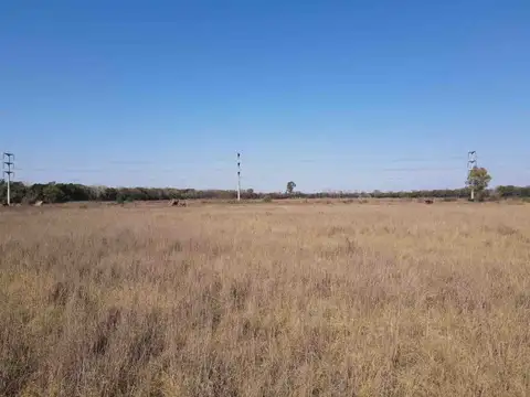 VENTA TERRENO DE 11,72 HAS EN B FERREYRA CORDOBA