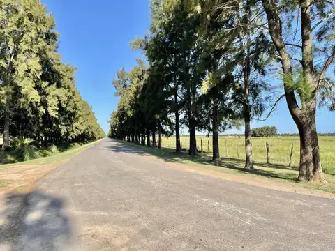 Terreno en Venta en Haras De Funes, USD 75.000
