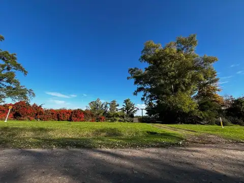 TERRENO EN VENTA ETCHEGOYEN 4,5 Ha EXALTACION