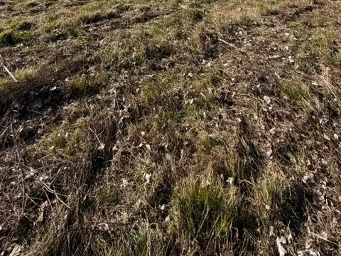 Terreno en Venta en La Lonja, USD 80.000