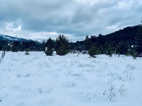Terreno en Venta de 1000,0 m2
