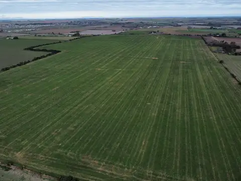 Campo en Venta con Alambrado