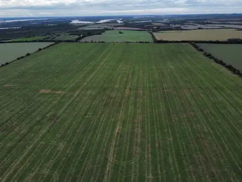 Campo en Venta de 77  ha