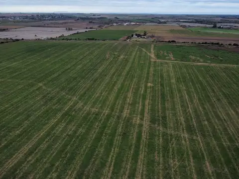77 has excelente campo agrícola en Colonia Ensayo Dpto. Diamante