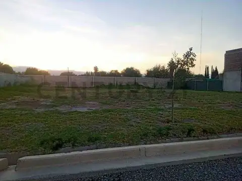 profesor mathus 3700, Piso 0