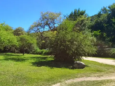 Terreno en Venta 40  mts Fondo