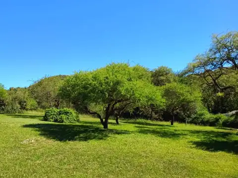 Terreno en Venta de 1566,0 m2