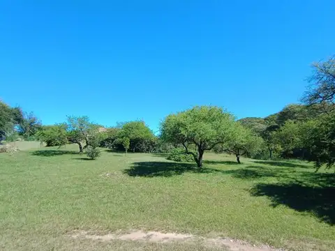 Terreno en Venta en Potrerillo de la Larreta, USD 89.000