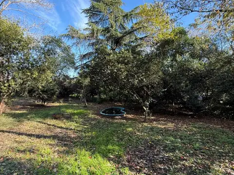 Sarmiento 1700, Capitan 100