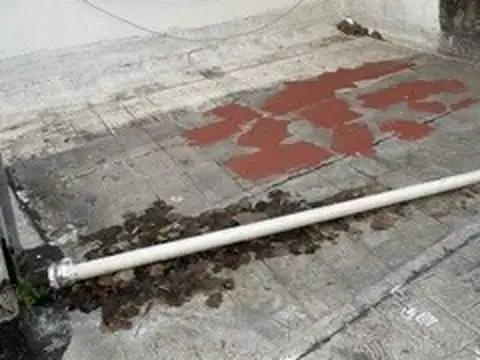 A REPARAR CON  MES DE GRACIA Monoambiente Amueblado! con balcon al frente. Terraza compartida-Excelente ubicacion-