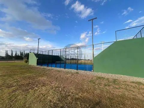 FINCAS DE SAN VICENTE JOVEN