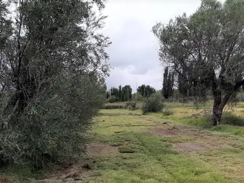 VENTA DE TERRENO FINANCIADO(4.5 HECTAREAS)EN MAIPU