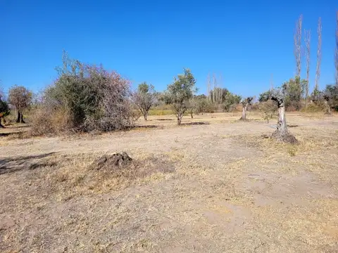 VENTA DE TERRENO FINANCIADO(4.5 HECTAREAS)EN MAIPU