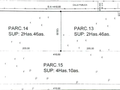 9 HECTAREAS EN VENTA- Camino a Colonia Benitez