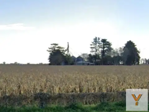 Campo en venta - 1537Ha - Santa Fe