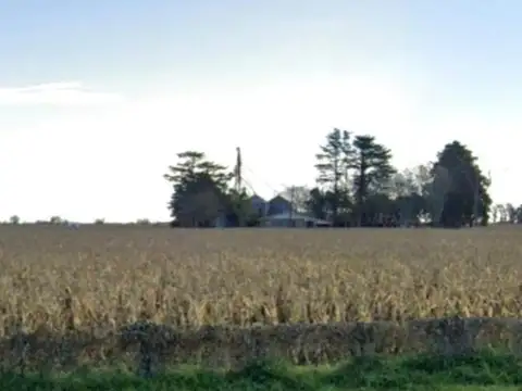 Campo en venta - 1537Ha - Santa Fe