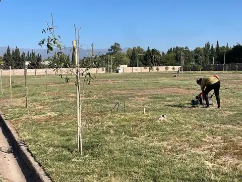 Terreno en Venta de 300,0 m2