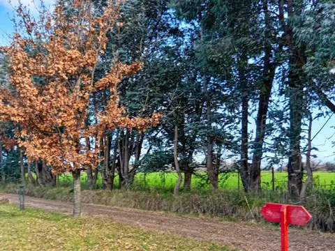 VENTA LOTE LAGUNA DE LAS PAMPAS SAN ANDRES DEGILES