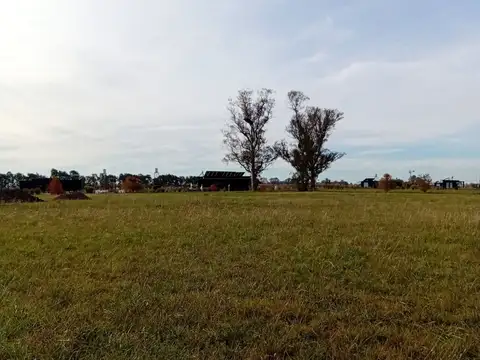 Terreno en Venta de 2080,0 m2