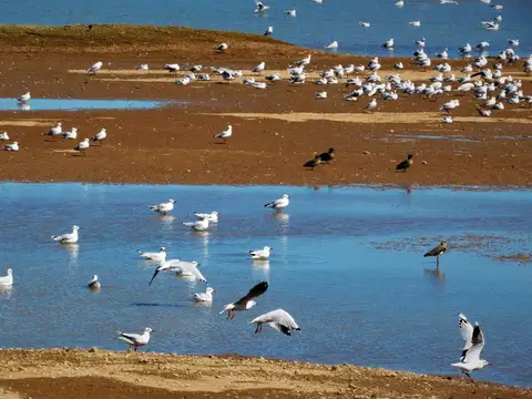 VENTA LOTE LAGUNA DE LAS PAMPAS SAN ANDRES DEGILES
