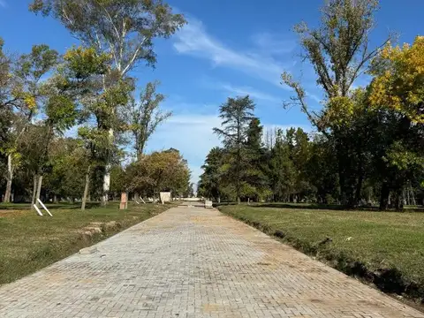 Almahue, La Lonja, Pilar, La Lonja