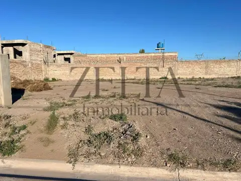 Barrio Las Cortaderas 3 1000
